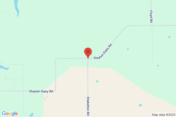 Stayton Dairy Farms Inc