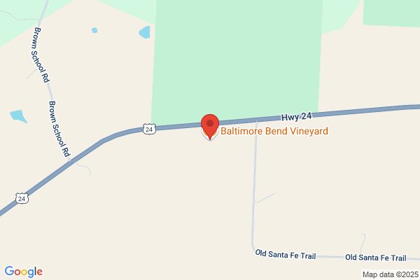 Baltimore Bend Vineyard