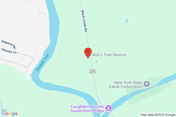Bobs Tree Service