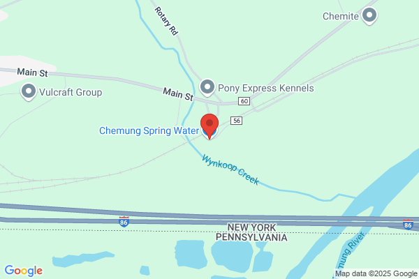Chemung Spring Water CO Inc