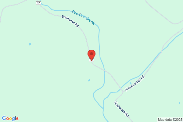 Pebble Township