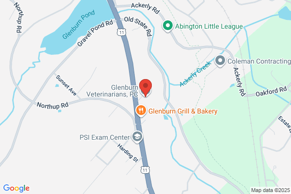 Glenburn Veterinarians, P.C.