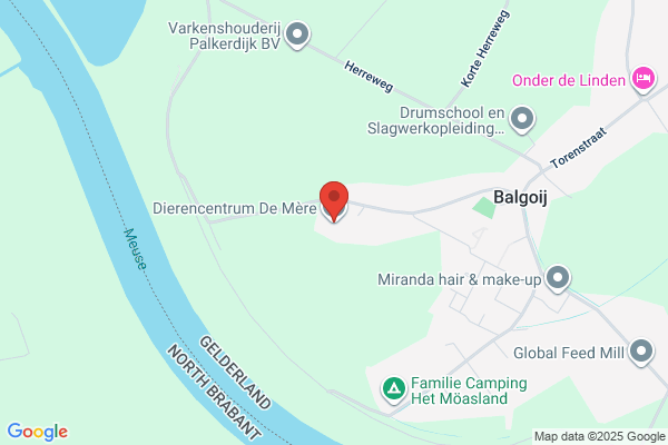 Demere