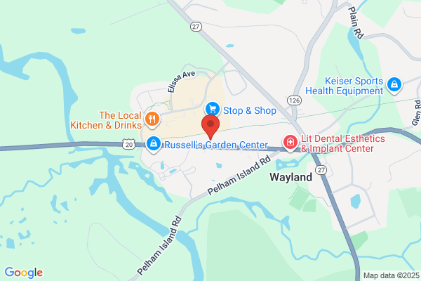 Wayland Mini Market