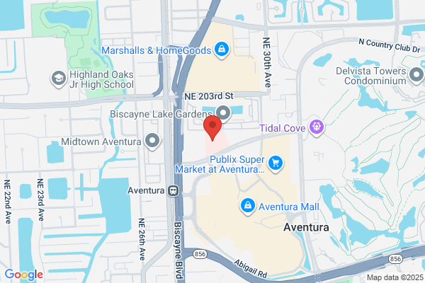 Birnbaum Morton Dr