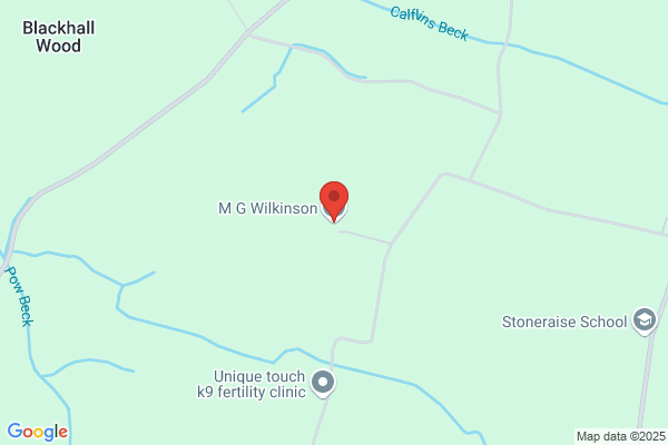 D.M. Wilkinson, Inc.