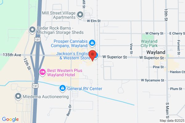 AutoZone Auto Parts