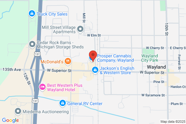 NAPA Auto Parts - Cereal City Auto Parts - Closed