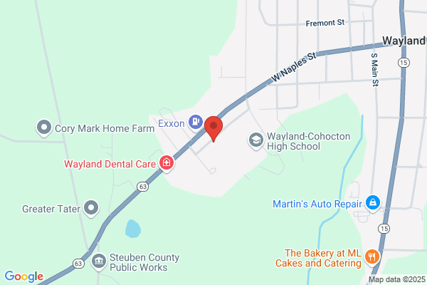 Cohocton Central School, Wayland Elementary