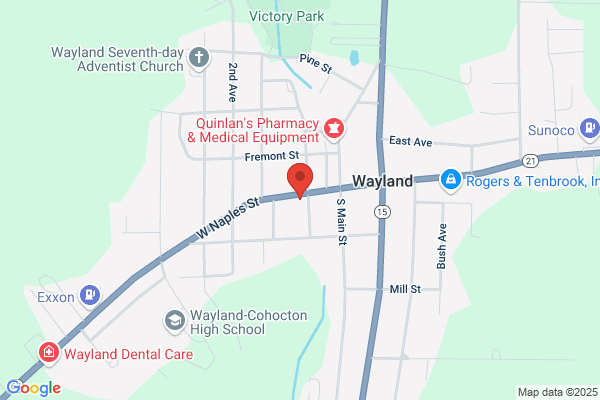 Libraries, Wayland Free Library