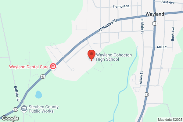 Wayland Central School, High School