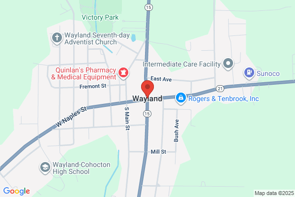 Wayland Village of, Village Clerk