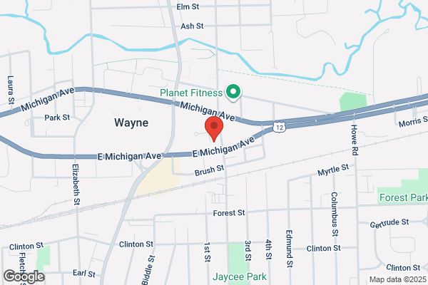 Wayne City of, Youth Services