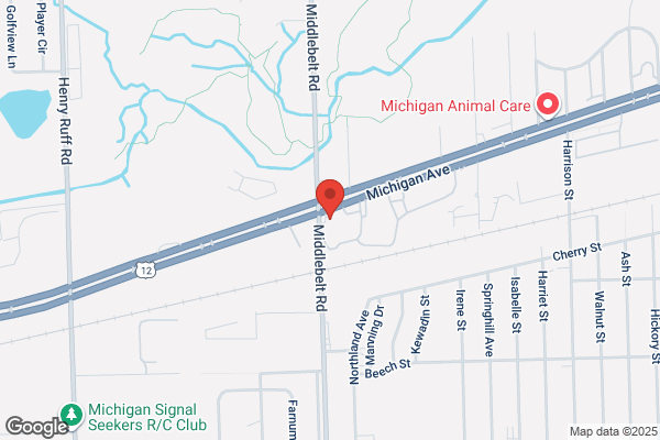 Michigan Tire