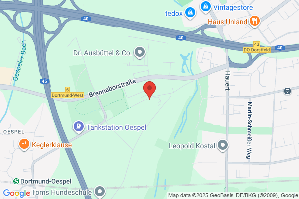 Verizon