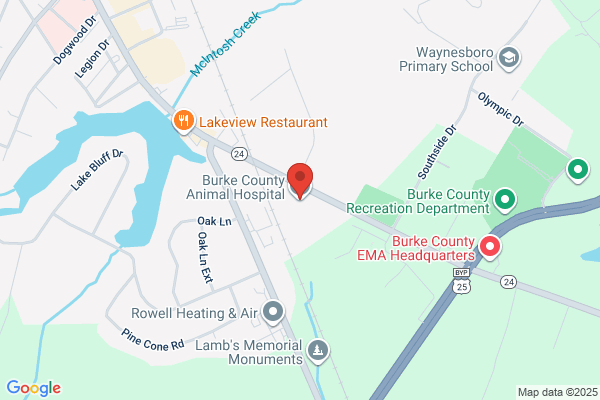 Burke County Animal Hospital