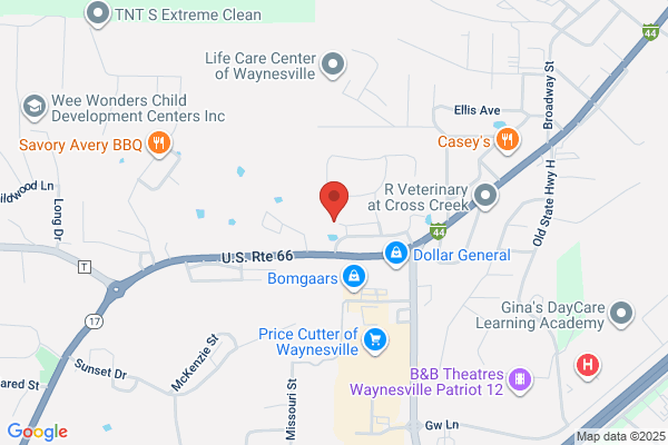 Government, City Hall, Waynesville