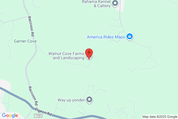 Walnut Cove Landscaping & Nursery