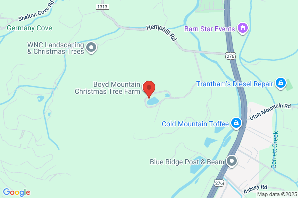 Boyd Mountain Log Cabins & Christmas Tree Farm