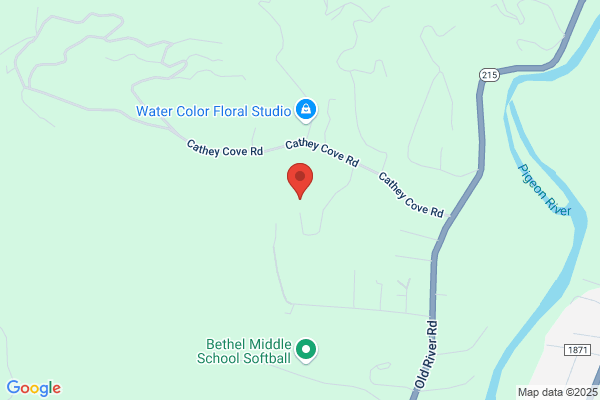 Medford Tree Service