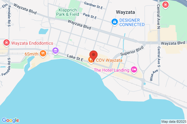 Wayzata Investment Partners