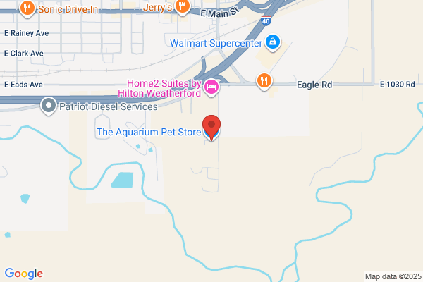 The Aquarium Pet Store