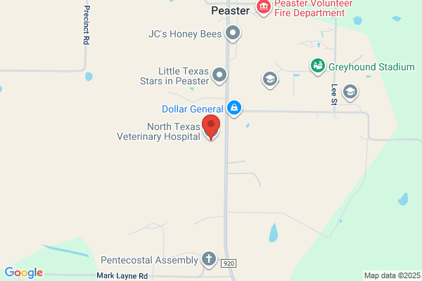 North Texas Veterinary Hospital