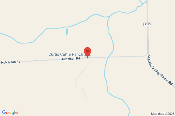 Curtis Cattle Company