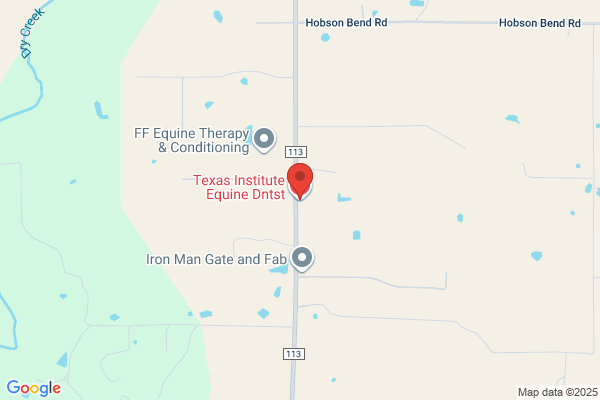 Texas Institute of Equine Dentist