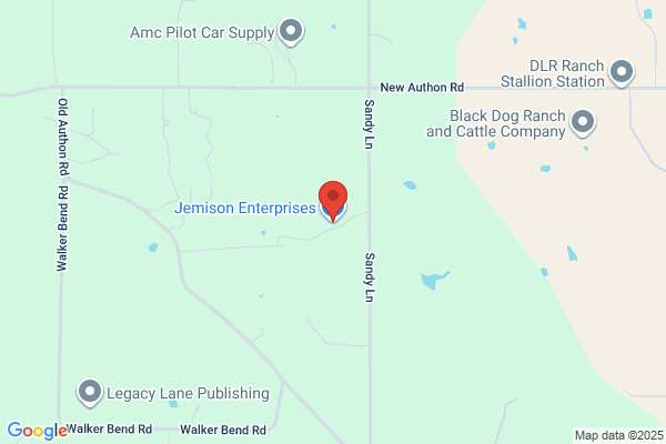 Jemison Enterprises Inc