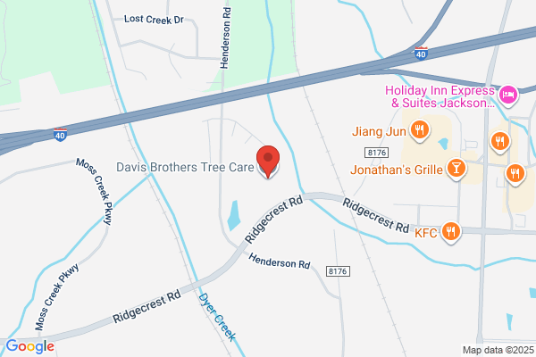 Jackson Brothers Tree Service