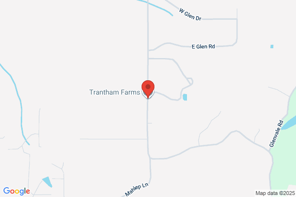 Trantham Services Inc