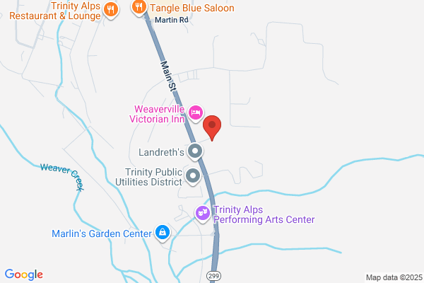 Lauderdale Motors