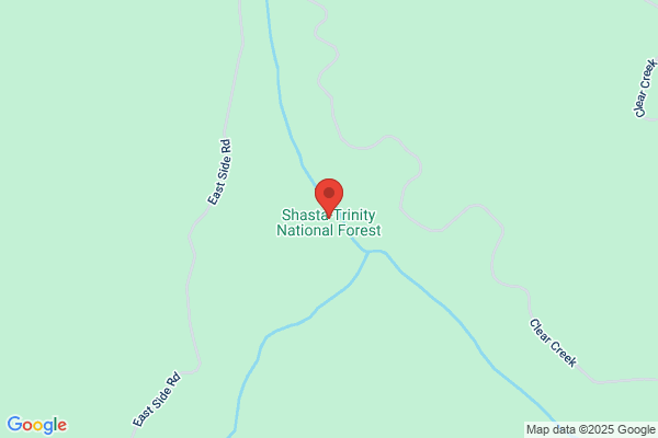 Shasta Trinity National