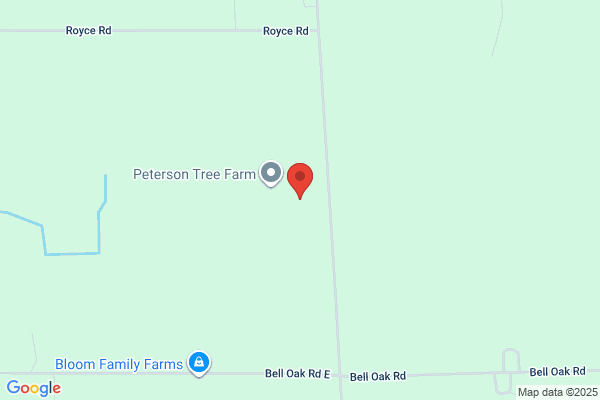 Peterson Auto Body