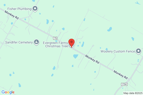 Evergreen Farms Christmas Trees