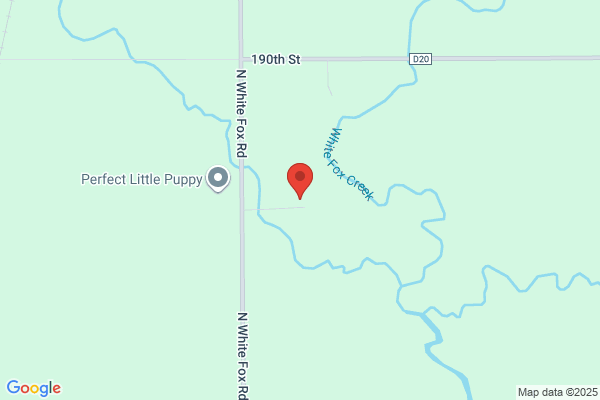 Brim Veterinary Services, Vet