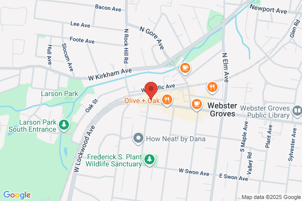 Webster Dry Goods
