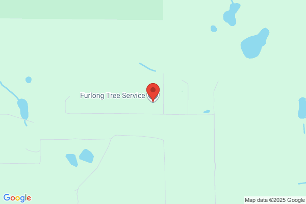 Furlong Tree Service