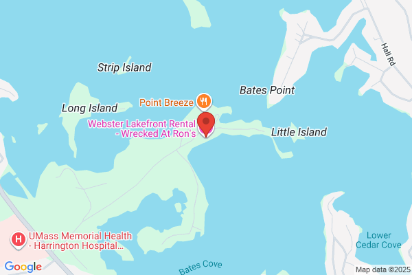 Webster Lakefront Rental - Wrecked At Ron's