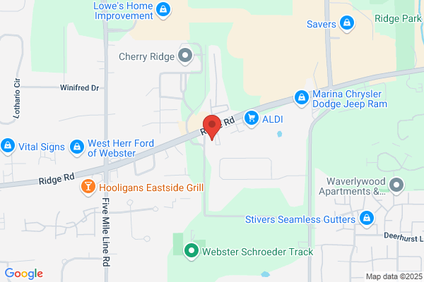Webster Auto Clinic