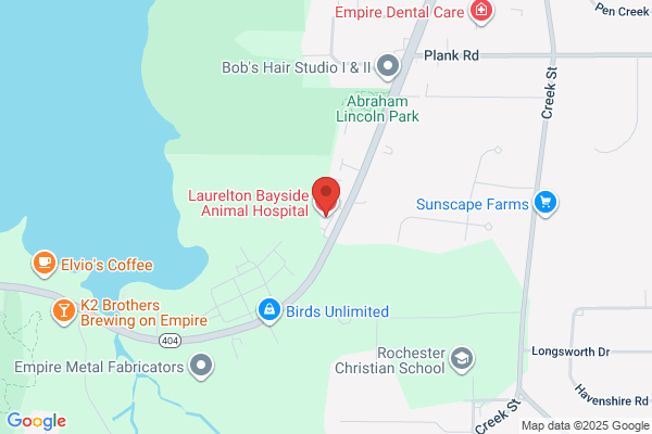 Laurelton Bayside Animal Hospital