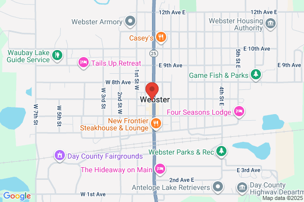 Webster's Dakota Diner