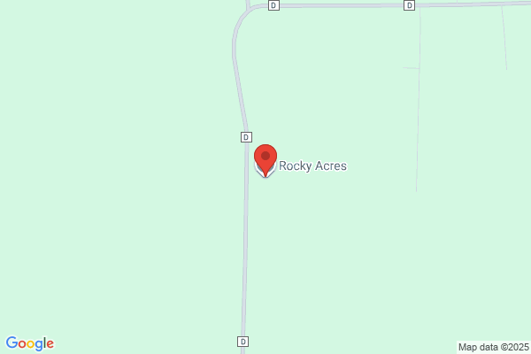 Rocky Raccoon's