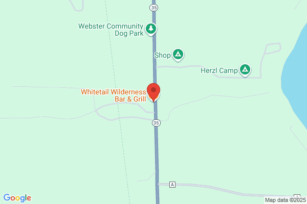 White-Tail Wilderness