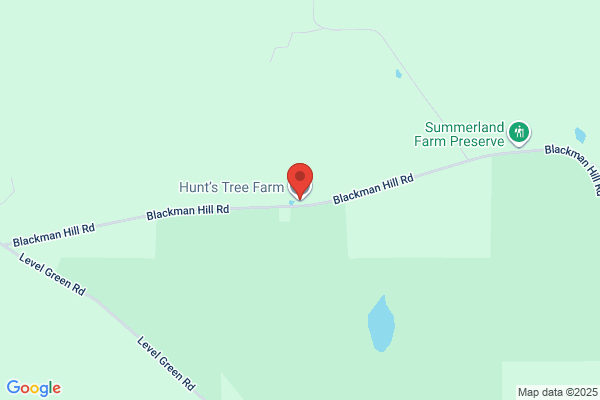 Hunt's Tree Farm