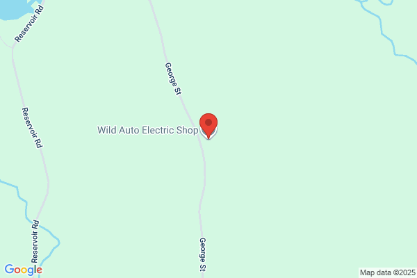 Wild Auto Electric Shop