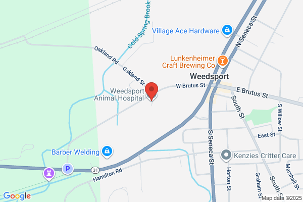 Weedsport Animal Hospital