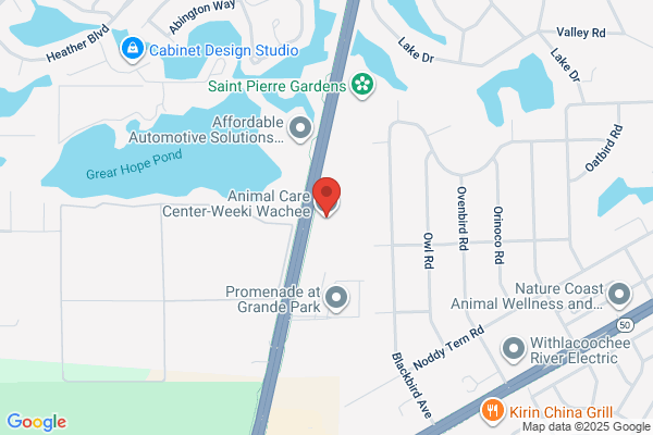 Animal Care Center of Weeki Wachee