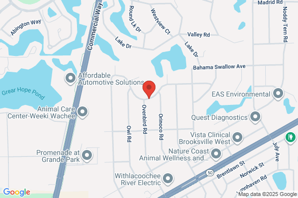 Hernando Psychic